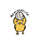 ひよこのピヨじい（個別スタンプ：1）