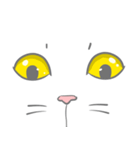 とある猫の目（個別スタンプ：4）