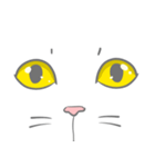 とある猫の目（個別スタンプ：5）
