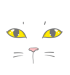 とある猫の目（個別スタンプ：15）