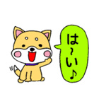 柴犬の日常会話スタンプ☆（個別スタンプ：10）