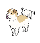 うちの犬かわいいスタンプ（個別スタンプ：1）