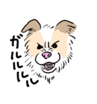 うちの犬かわいいスタンプ（個別スタンプ：4）