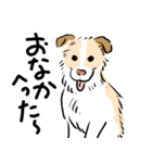 うちの犬かわいいスタンプ（個別スタンプ：5）