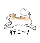 うちの犬かわいいスタンプ（個別スタンプ：6）