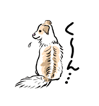 うちの犬かわいいスタンプ（個別スタンプ：7）