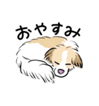うちの犬かわいいスタンプ（個別スタンプ：8）