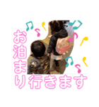 すしスタンプ2（個別スタンプ：4）