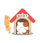 [台湾語・中国語版] Missにゃんこ [ver.1]（個別スタンプ：23）