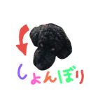 黒プーの豆太くん5（個別スタンプ：7）