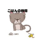 トラちゃんwithふれんず【第1弾】（個別スタンプ：24）