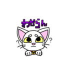 にゃんこのあっちゃん2（個別スタンプ：13）