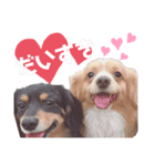 にょっぴ❤︎リヨン❤︎コロン❤︎（個別スタンプ：4）