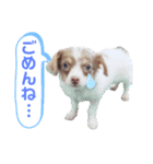 にょっぴ❤︎リヨン❤︎コロン❤︎（個別スタンプ：6）