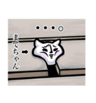 【まてちゃん】は猫ちゃん！（個別スタンプ：25）