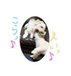 ぷーとハク①（個別スタンプ：4）