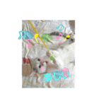 ゴマにゃんこ（個別スタンプ：2）