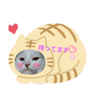 我がゴマさん（個別スタンプ：5）