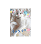 我がゴマさん（個別スタンプ：8）