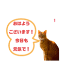 むぎくんです！（個別スタンプ：1）