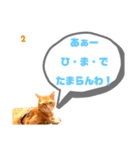 むぎくんです！（個別スタンプ：2）
