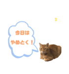 むぎくんです！（個別スタンプ：3）