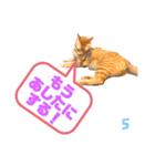 むぎくんです！（個別スタンプ：4）