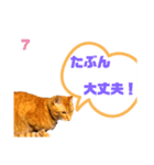 むぎくんです！（個別スタンプ：5）