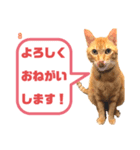 むぎくんです！（個別スタンプ：6）