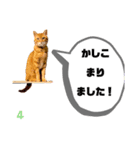 むぎくんです！（個別スタンプ：8）