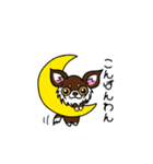 とにかくちわわ！（個別スタンプ：3）
