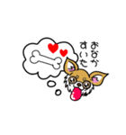 とにかくちわわ！（個別スタンプ：4）