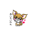 とにかくちわわ！（個別スタンプ：5）
