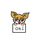 とにかくちわわ！（個別スタンプ：6）