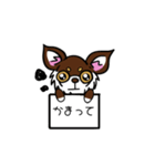 とにかくちわわ！（個別スタンプ：9）