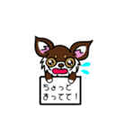 とにかくちわわ！（個別スタンプ：11）