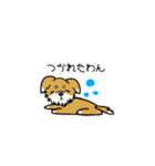 とにかくちわわ！（個別スタンプ：12）