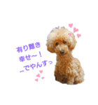 よもぎもぎら（個別スタンプ：3）