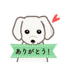 【犬.イヌ.いぬ】まるまる！マルックス！！（個別スタンプ：1）