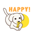 【犬.イヌ.いぬ】まるまる！マルックス！！（個別スタンプ：2）