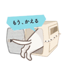 【犬.イヌ.いぬ】まるまる！マルックス！！（個別スタンプ：5）