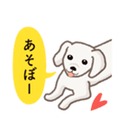 【犬.イヌ.いぬ】まるまる！マルックス！！（個別スタンプ：11）