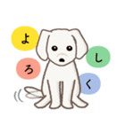 【犬.イヌ.いぬ】まるまる！マルックス！！（個別スタンプ：12）