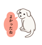 【犬.イヌ.いぬ】まるまる！マルックス！！（個別スタンプ：13）