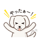 【犬.イヌ.いぬ】まるまる！マルックス！！（個別スタンプ：14）