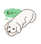 【犬.イヌ.いぬ】まるまる！マルックス！！（個別スタンプ：17）
