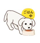 【犬.イヌ.いぬ】まるまる！マルックス！！（個別スタンプ：20）