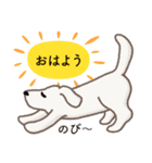 【犬.イヌ.いぬ】まるまる！マルックス！！（個別スタンプ：22）