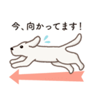 【犬.イヌ.いぬ】まるまる！マルックス！！（個別スタンプ：23）