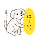【犬.イヌ.いぬ】まるまる！マルックス！！（個別スタンプ：27）